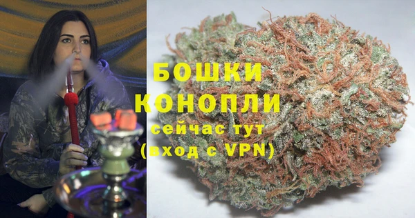 ECSTASY Осинники