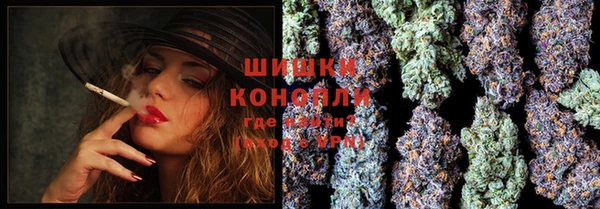 ECSTASY Осинники