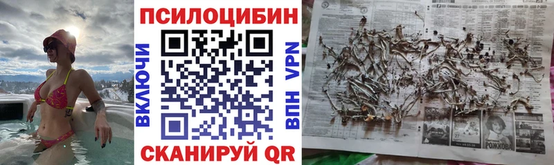 Купить где  Заводоуковск  Псилоцибиновые грибы мицелий 